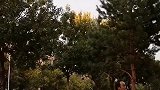 一条追赶落叶的环线，有要去的吗？