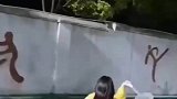 对方可能是一群在打吧