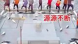 大海里的鱼，源源不断