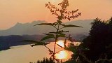 夕阳渐渐西下，你等到那个你想要等的人了吗？