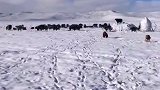 成都大雪，若尔盖大雪，这高考考的！