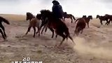 内蒙古“00后 ”男子表演高难度驯马 无需马鞍 放开双手 随马儿节奏摆动