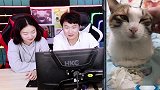 憋笑大挑战：小伙为了显脖子长，走路很嚣张！