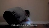 母浣熊在墙壁里产子安家，户主知道后，为其做了一件正确事情