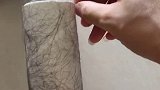 猫其实不掉毛，不信你看！