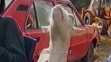 男子抓到老鼠后逼迫其抽烟，吸完十几根以后，就变成这幅模样了