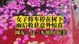 云南昆明：女子将车停在树下，雨后收获意外惊喜