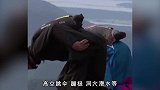 历史上最疯狂的极限运动-翼装飞行，翼装起源于中国古代