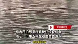 重庆嘉陵江惊现鳄鱼？市民被吓坏：当时准备去游泳，误以为是鸭子