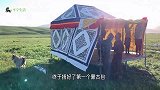 主人带着狗狗在草原看夕阳，狗狗竟然跑去追土拨鼠，样子太搞笑了