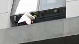 一清洁工钻出窗外打扫烟头，被卡住