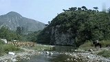 天天追剧吧-20211227-长城红-：大佐跟九斤谈判，怎料看到手上的日本军刀，脸色都变了