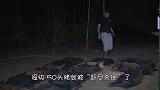 野猪吃的正欢，只听“砰”的一声，50头猪就被“赶尽杀绝”了！