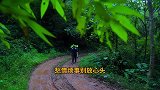板鸭原来可以这么吃？超小厨今天做“成都冒鸭子”味道果然不寻常