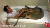 男子跟2条眼镜蛇王共浴，并称这是洗过的最爽的澡