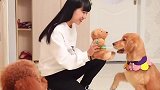 眼见也不一定为实