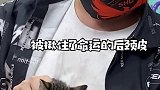 上次和你说的流浪小猫 萌宠  猫  关爱流浪动物
