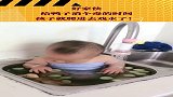 这熊孩子，给鸭子消个毒的时间，居然爬进去戏水！