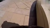 国外爆笑街头恶搞，传单熊走野外树林偷袭路人，被吓的爬上树