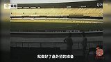 足球-17年-《世界杯讲古》第17期：罗哈斯一己之力狙击巴西队？-专题