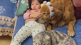 自从我女儿出生后，猫狗的眼里再也没有我了！