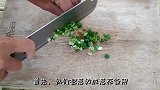 茄子这个做法太好吃了，酸甜爽口，开胃又下饭