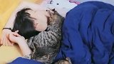猫：在主人床上躺着就是舒服呀！
