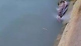猴子不止会游泳，还会在水里潜水