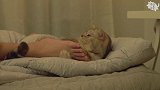 猫咪醒来挠主人的光脚丫，竟然折腾了主人一夜，猫咪举动十分滑稽