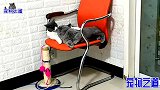 小母猫溜须公猫，公猫火爆脾气突然爆发，最后的戏精表演让人捧腹