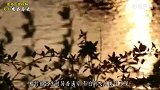 山西出土吕洞宾墓葬，墓中发现宋朝币，专家：难道活了200岁