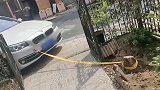 每一步都在意料之外，全程悬着一颗心，结果舒服了！