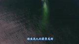 海边出现30米长“怪异生物”专家赶到后：迅速撤离