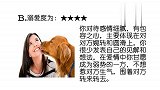 美职篮体育熊-20190224-哪个美女和宠物很亲密，测你在爱情中有没有太溺爱对方