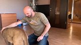 往主人怀里钻的大猫，一脸呆萌：宝宝要抱抱