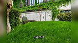 顾客在浙江一酒店遛弯，遇晋代高官的千年古墓，店方：不会吓到人