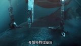 你拿鲨鱼做实验 鲨鱼拿你当晚餐