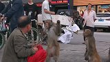 如果笑了就再看一遍