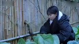 李子柒否认年入1.68亿：运营成本高 营业额不是盈利