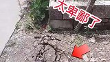 真不敢相信眼前这一幕啊