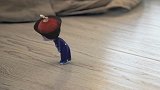 僵小鱼尿急，差点憋出内伤。