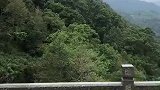 人与自然和谐的典型之一了吧