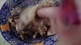 女子为吃骨髓，结果美甲被卡住，消防员憋笑救援