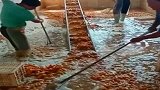 这样算卫生还是不干净，咱也不敢问！