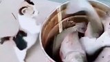 想大鱼大肉，也得靠实力啊！