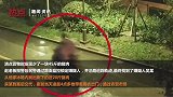 嘴馋又不想花钱 他用雨衣做“掩护”偷走45斤猪肉