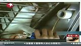 实拍松狮犬不愿洗澡满地打滚耍无赖-11月26日