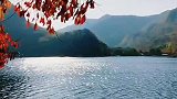 秋意浓，念无恙，时光温柔，岁月静好！