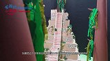 仓鼠脑子到底好不好使？老外自制岩浆迷宫测试，网友看完自愧不如