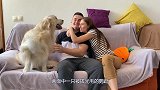 猴子闯祸，不满主人教训自己和主人顶起嘴来，主人还吵不过猴子！
